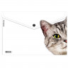 Папка-конверт на кнопке А4 (ErichKrause) 160мкм Hiding Cats ассорти арт.61155