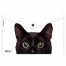 Папка-конверт на кнопке А4 (ErichKrause) 160мкм Hiding Cats ассорти арт.61155