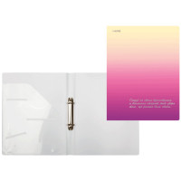 Папка на 2-х кольцах А4 30мм D-30мм пл. 0,65мм Degrade deVENTE с внут.карманом арт.3081306 (Ст.24)