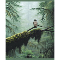 Тетрадь А5 клетка 48 листов скоба (Маяк) Природа Туман арт.Т-5048 К2