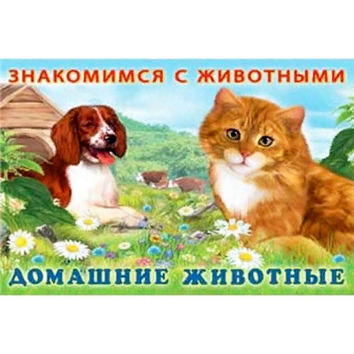 Книжка мягкая обложка А5 (Фламинго) Знакомимся с животными Домашние животные арт 27667