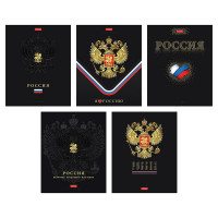 Тетрадь А5 клетка 48 листов скоба (Hatber) Россия матовая ламинация 3D фольга 3D лак скругленные углы ассорти арт.48Т5лофлВ1