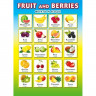 Плакат А4 Овощи/фрукты двусторонний арт.071.372