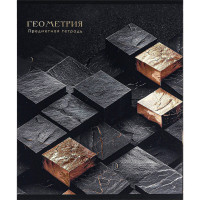 Тетрадь предметная 48 листов (Prof-Press) Black&Cold Геометрия холодная фольга софт-тач выборочный лак арт.48-2683