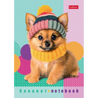 Блокнот А6 мягкая обложка скоба 24 листа (Hatber) Песики и котики клетка глянцевая ламинация ассорти арт.24Б6лВ1