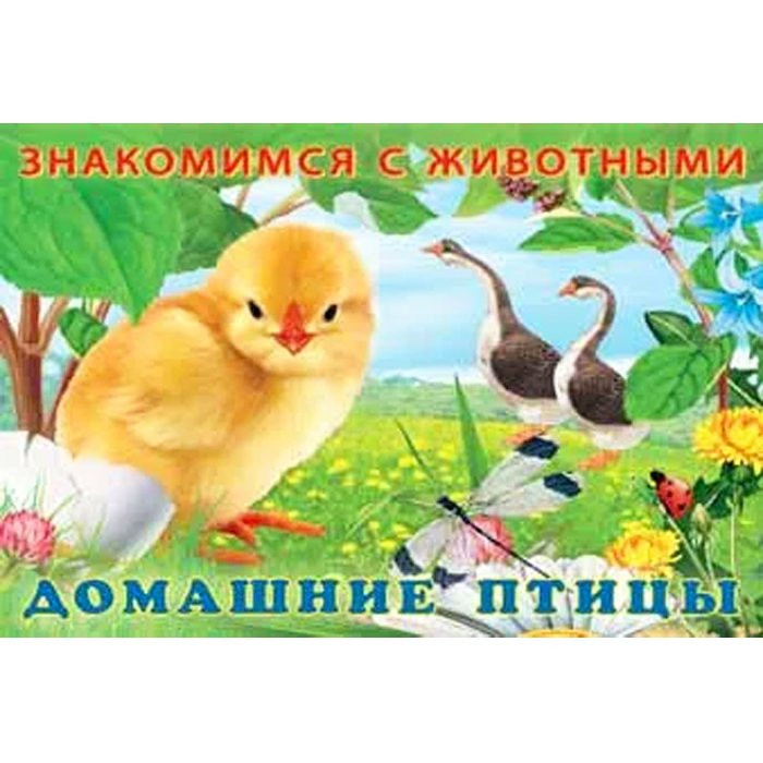 Книжка мягкая обложка А5 (Фламинго) Знакомимся с животными Домашние птицы арт 27711
