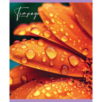 Тетрадь А5 клетка 48 листов скоба (Маяк) Цветы Макро арт.Т-5048 К2