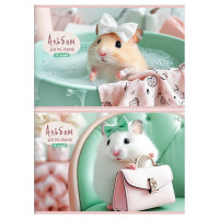 Альбом для рисования 16 листов скоба (BG) Леди Хомяк асс. арт.АР4ск16 08588