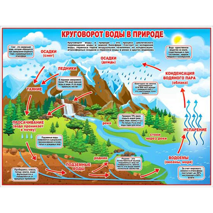 Плакат А2 Круговорот воды в природе арт Р2-290