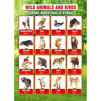 Плакат А4 Дикие животные/Домашние животные двусторонний арт.071.373