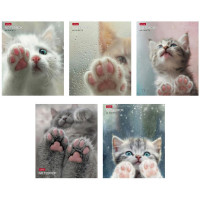 Тетрадь А5 клетка 48 листов скоба (Hatber) Розовые лапки ассорти арт.48Т5В1