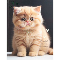 Дневник для старших классов твердая обложка (Prof-Press) Милый котенок глиттер арт.Д48-3425