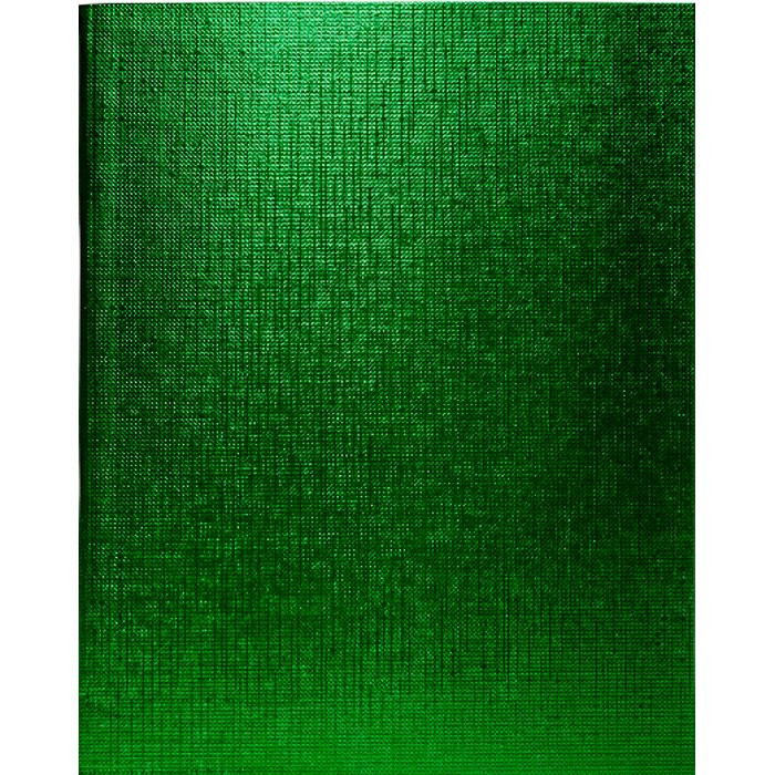 Тетрадь А5 клетка 48 листов бумвинил скоба (Hatber) Metallic Зеленая арт 48Т5бвВ1