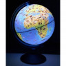 Глобус зоогеографический 250мм Классик Евро с подсветкой на английском языке арт Ке012500272