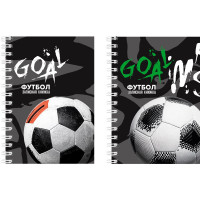 Записная книжка А6 мягкая обложка на гребне 80 листов (Prof-Press) Футбольная тема глянцевая ламинация арт.80-3754