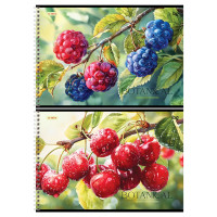 Альбом для рисования 32 листа спираль (BG) Botanica ассорти арт.АР4гр32 08638
