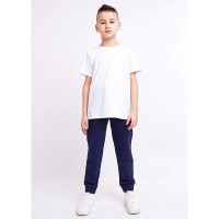 Брюки спортивные для мальчика арт.CLE 903345-01а размер 34/134-42/158 цвет темно-синий