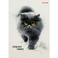 Записная книжка А6 твердая обложка 96 листов (Prof-Press) Пушистый кот глянцевая ламинация арт.96-7562
