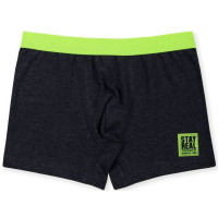 Боксеры для мальчика арт.3976 95%хлопок, 5% эластан цвет ассорти