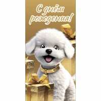 Конверт для денег С днем рождения! арт.KD00000375