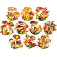 Набор на скотче "Грибы" арт.НР39