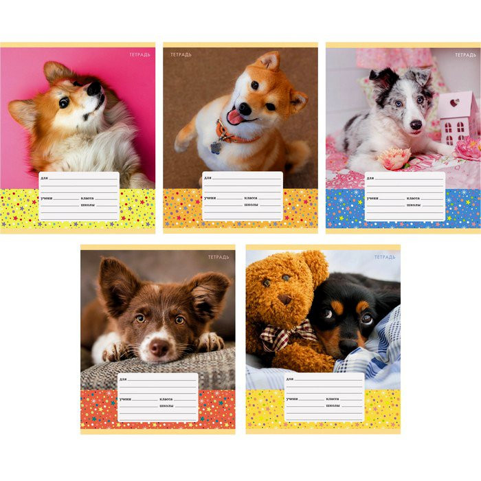 Тетрадь 12 листов клетка (Канц-Эксмо) Любимый питомец арт ТК126490