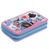 Пенал 2 отделения (Hatber) Cat day 190х110мм глянцевая ламинация с таблицей умножения арт.NPn_47099