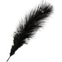 Перо для декора 25-30см черный арт.6900037