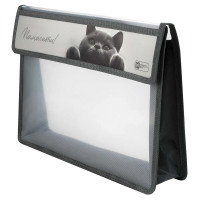 Папка школьная для тетрадей А4 на липучке 1отделение Феникс Британский кот арт.73700