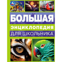 Энциклопедия А4 Большая энциклопедия для школьника (Умка) арт.978-5-506-09968-0