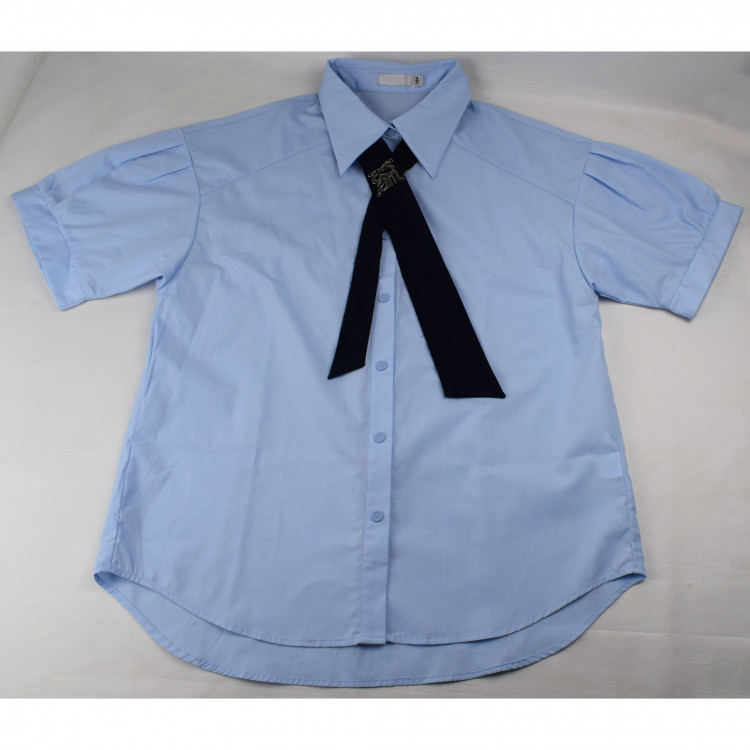 Блузка для девочки (Делорас) короткий рукав цвет голубой арт.63938СS размерный ряд 34/134-46/170