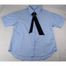 Блузка для девочки (Делорас) короткий рукав цвет голубой арт.63938СS размерный ряд 34/134-46/170