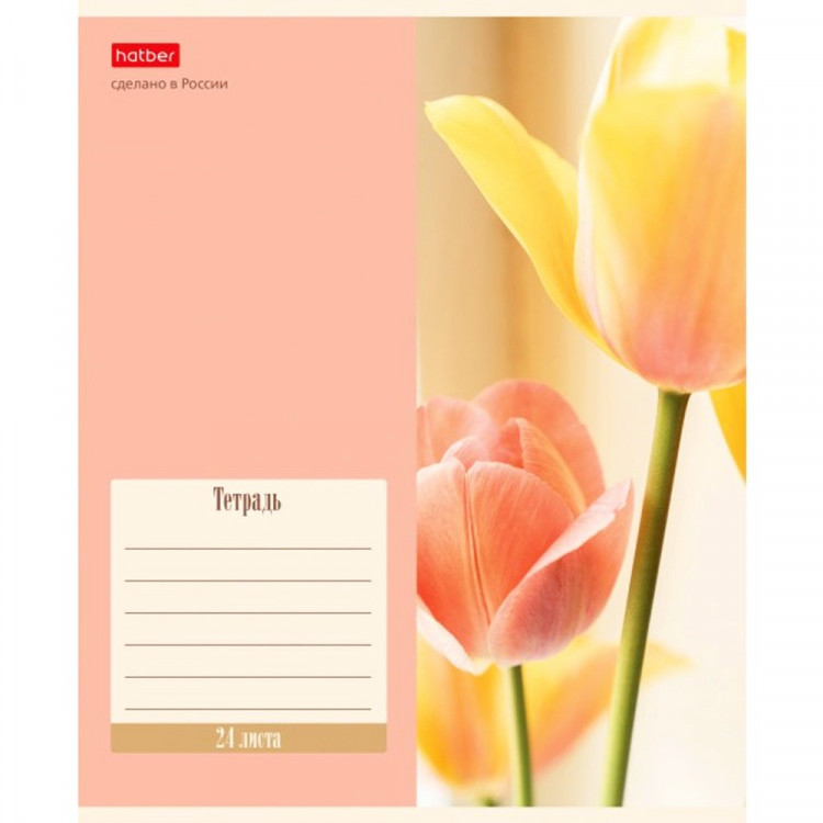 Тетрадь 24 листа линия (Hatber) Flowers арт.24Т5В2