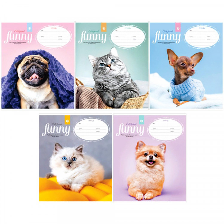 Тетрадь 12 листов клетка (ArtSpace) Питомцы. Funny pets ассорти арт.Т12кС_43212