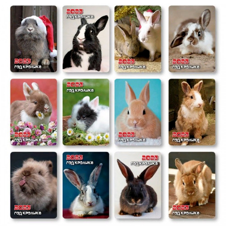 Календарь карманный  2023 70*100мм "Символ года" арт. 2023 (Ст.10)