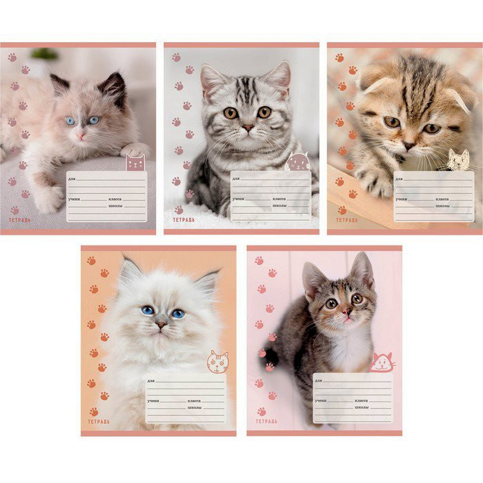 Тетрадь 12 листов клетка (Канц-Эксмо) Пушистые котята арт ТКЛ186526