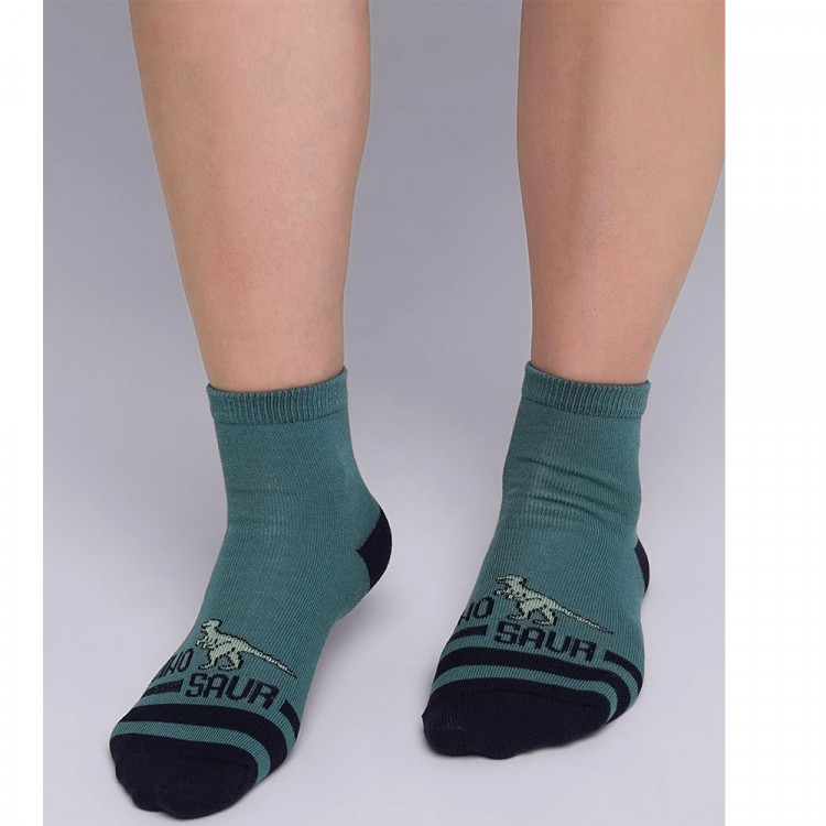 Носки детские для мальчика артикул С4316 размер 16-18 80% хлопок, 18% полиамид, 2% эластан цвет зеленый (Clever)