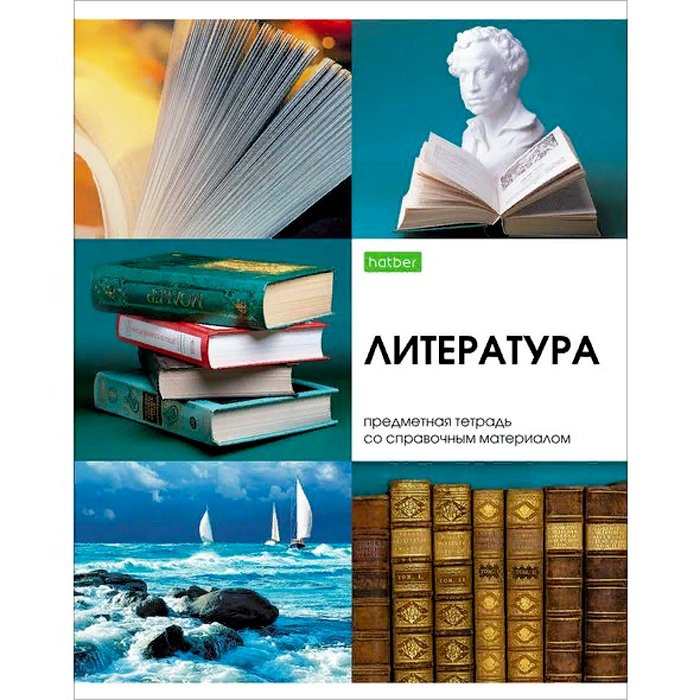 Тетрадь предметная 48 листов (Hatber) Красота в деталях Литература арт 48Т5Cd2_22607