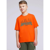 Футболка для мальчика арт.CLE 845785/72кд_п размер 34/134-42/158 цвет оранжевый