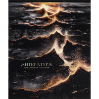 Тетрадь предметная 48 листов (Prof-Press) Black&Cold Литература холодная фольга софт-тач выборочный лак арт.48-2716