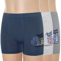 Боксеры для мальчика арт.3348 95% хлопок, 5% эластан цвет ассорти