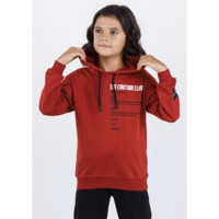 Толстовка для мальчика артикул (DMB) 4923 размер 32/128-44/164 цвет кирпичный