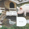 Книжка картонная с окошками А4 (Умка) Животные 50 окошек арт.978-5-506-09936-9