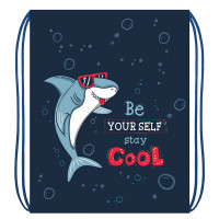 Сумка для сменной обуви 1 отделение (ОНИКС) МО-20 Acoola 330х420 мм