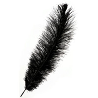 Перо для декора 30-35см черный арт.6900056