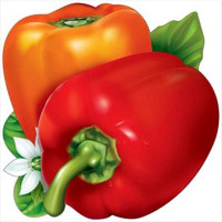 Украшение на скотче "Перцы" арт.3001083