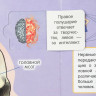 Книжка картонная с окошками А4 (Умка) Тело человека 50 окошек арт.978-5-506-09939-0