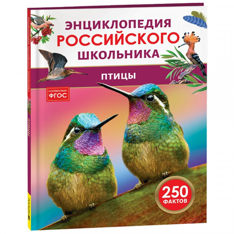 Энциклопедия российского школьника А4 Птицы (Росмэн) арт.64924