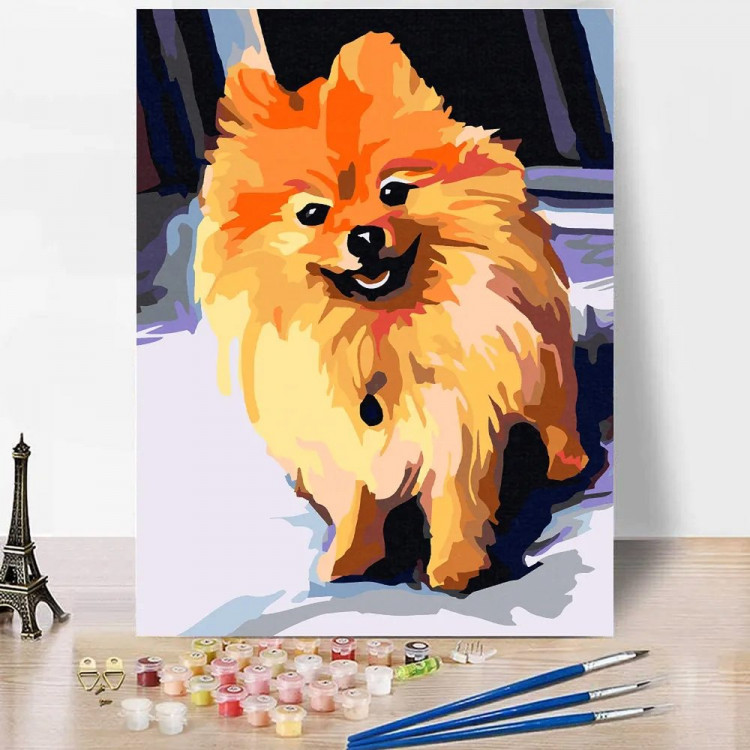 Набор для творчества Картина по номерам 30x40см Шпиц (RedPanda) арт.p54794