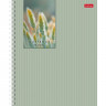 Тетрадь А5 клетка 96 листов на гребне (Hatber) Прикосновение к природе ассорти арт.96Т5лВ1гр